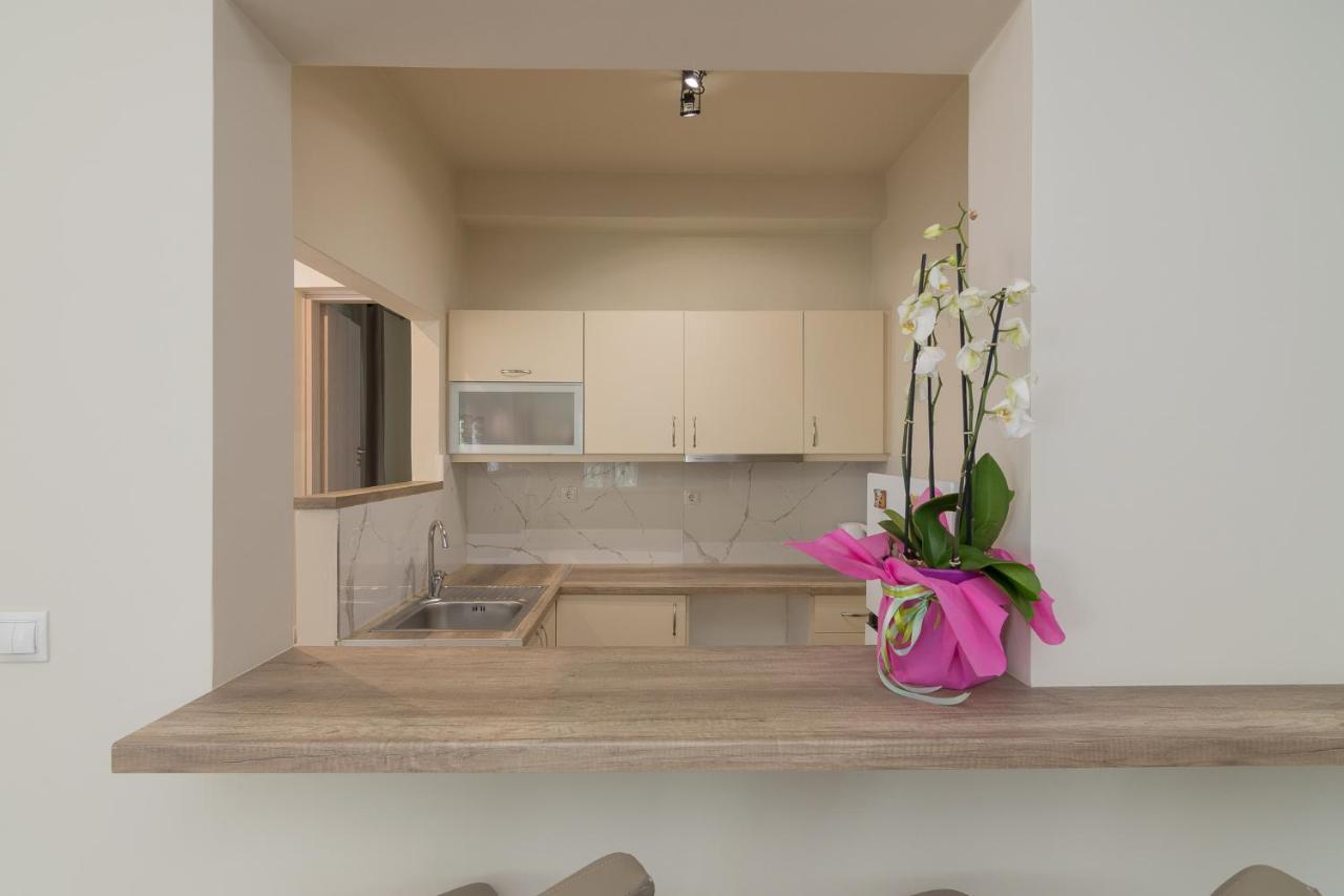 Renovated Panorama Loft: Athens Terrace Gem Διαμέρισμα Εξωτερικό φωτογραφία